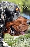 The Gordon Setter: Everything You Need To Know Before Becoming Owned by a Gordon Setter