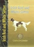 Irish Red and White Setter