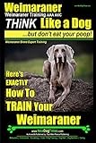 Weimaraner, Weimaraner Training AAA AKC: Think Like a Dog, But Don't Eat Your Poop! | Weimaraner Breed Expert Training: Here's EXACTLY How To TRAIN Your Weimaraner: 1