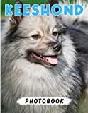Keeshond Photo Book: The Family of Spitz Dogs for Anyone to Love Decor as Gifts | 40+ Pages High Quality Pictures for Back to School for Any - Giving Occassion