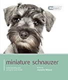 Miniature Schnauzer: Miniature Schnauzer - Dog Expert