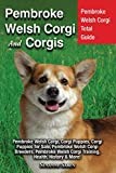 Pembroke Welsh Corgi And Corgis: Pembroke Welsh Corgi Total Guide Pembroke Welsh Corgi, Corgi Puppies, Corgi Puppies for Sale, Pembroke Welsh Corgi ... Welsh Corgi Training, Health, History & More!