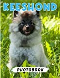Keeshond Photo Book: The Family of Spitz Dogs for Anyone to Love Decor as Gifts | 40+ Pages High Quality Pictures for Back to School for Any - Giving Occassion