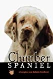 Clumber Spaniel (Rare Breed)