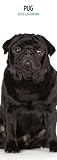 Pug 2025 Slim Calendar