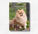 Pomeranian Calendar 2025: Monthly Wall Calendar with Notes, Hanging A4 Size, Includes key dates & holidays