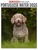 Portuguese Water Dogs Calendar 2025 - 2026: Plan Your Year with Monthly Planner Jan 2025 to Dec 2026, Beautiful Photography, US Holidays - Perfect for Gifting