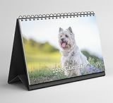 Cairn Terrier Desk Calendar 2025-2026: Standing Flip Desktop Calendar with Thick Paper (15.25cm x 22cm - similar to A5)
