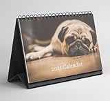 Pug Desk Calendar 2025-2026: Standing Flip Desktop Calendar with Thick Paper (15.25cm x 22cm - similar to A5)