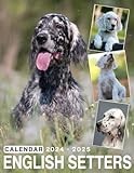 English Setters Calendar 2024 - 2025: 24-Month Covering Jan 2024 to December 2025 - Great Gift For Organizing & Planning