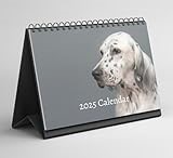 English Setter Desk Calendar 2025-2026: Standing Flip Desktop Calendar with Thick Paper (15.25cm x 22cm - similar to A5)