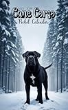 Cane Corso Pocket Calendar 2025-2026: Small 2-Year Monthly Planner For Purse