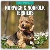 Norwich-/ Norfolk Terriers 2025 Square Wall Calendar