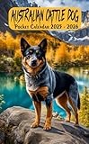 Australian Cattle Dog Pocket Calendar 2025-2026: 2 Year Monthly Planner for Purse, From January 2025 to December 2026