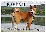 Basenji the African Barkless Dog (Wall Calendar 2026 DIN A4 landscape), CALVENDO 12 Month Wall Calendar: The Basenji is a dog breed coming from central Africa