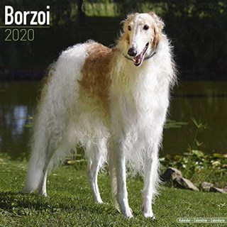 2020 Borzoi Russian Wolfhound Calendars