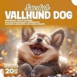 Swedish Vallhund Dog Calendar 2024 2025