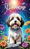 2025-2026 Havanese Pocket Calendar: 2 Years Small Monthly Planner For Purse