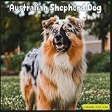 Australian Shepherd Dog Calendar 2025-2026: 2 Year Planner January 2025 - December 2026 | Australian Shepherd Dog Cover Design