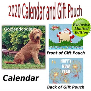 Goldendoodle Breeders near you