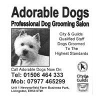 Adorable Dogs Livingston West Lothian Logo 