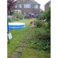 Dog Trainer/Behaviourist/Sitter Bexhill East Sussex Logo 