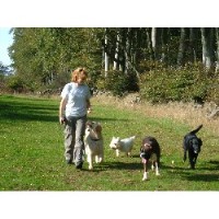 Walks With Dogs Ellon Aberdeenshire Logo 