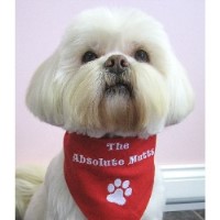 The Absolute Mutts Poole Dorset Logo 