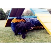 Clicker Zone Uk Romford Greater London Logo 