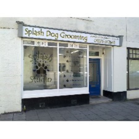 Splash Dog Grooming