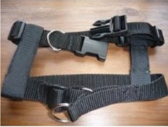 The Uk Wonder Collar Co. Bakewell Derbyshire Logo 