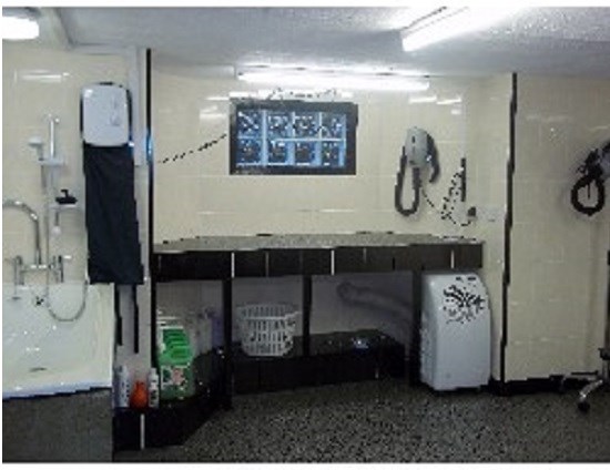 All Scruffs An' Crufts