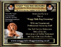 Waggy Tails Martock Somerset Logo 