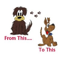 K9 Cuts Bideford Devon Logo 