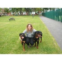 Four Paws Pet Services Northwich Cheshire Logo 