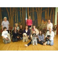 Progressive Dog Obedience Clubs Woking Surrey Logo 