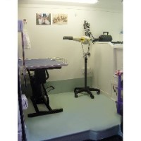 Kats K9 Mobile Dog Grooming Newick East Sussex Logo 