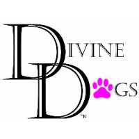 Divine Dogs Salisbury Wiltshire Logo 