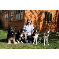 Paws In Harmony Staines Surrey Logo 