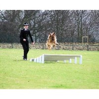 Dog Grooming Thurleigh, Bedford Bedfordshire Logo 