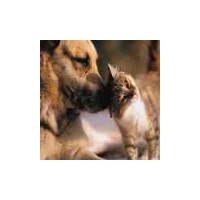 Herts Pet Services Cheshunt Hertfordshire Logo 