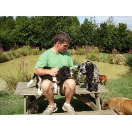 The Dog Retreat Homeboarding