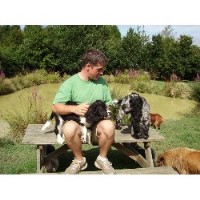 The Dog Retreat Homeboarding Marden Kent Logo 