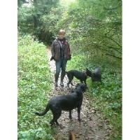 What Ever The Weather Frome Somerset Logo 