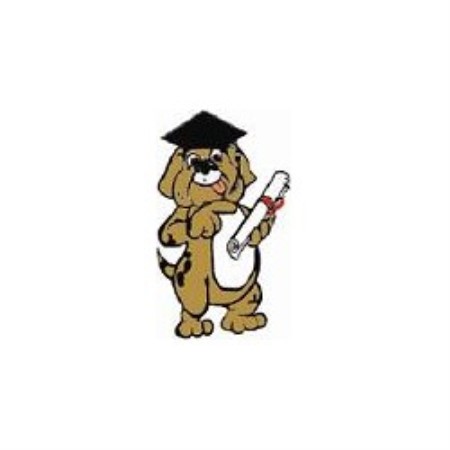 One To One Dog Aggression Training Derbyshire One To One Dog Aggression Training Derbyshire