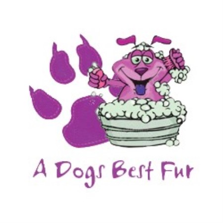 A Dog's Best Fur 