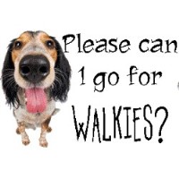 The Lead Role Bushey Hertfordshire Logo 