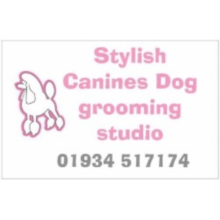 Stylish Canines Dog Grooming Studio