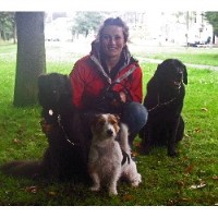 Bowwowmiaow Rossendale Lancashire Logo 