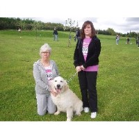 Waggy Welcome Tamworth Staffordshire Logo 